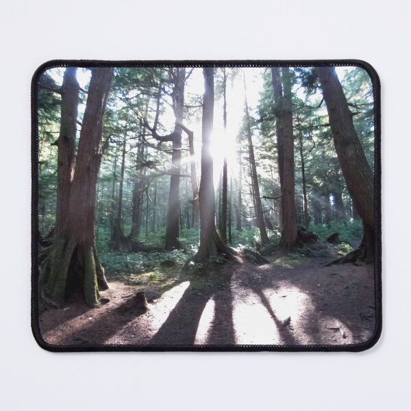 Item preview, Sunlight Shining Through The Trees designed and sold by WilfuerM.