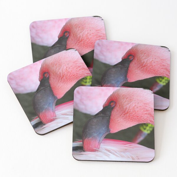 Item preview, Flamingo Closeup designed and sold by ShutterbugBttns.