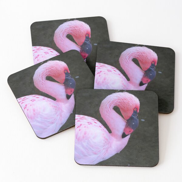 Item preview, Flamingo Portrait designed and sold by ShutterbugBttns.