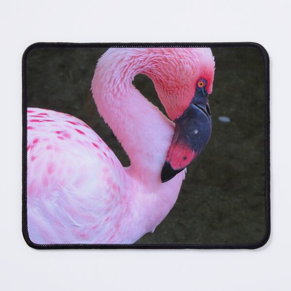 Item preview, Flamingo Portrait designed and sold by ShutterbugBttns.