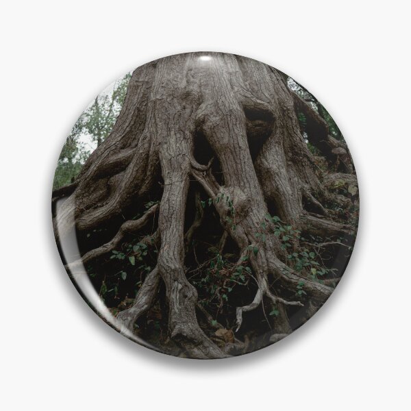 Item preview, Ancient Tree Roots Clinging to Eroded Hillside designed and sold by MichaelPictures.