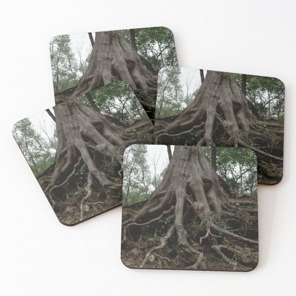 Item preview, Ancient Tree Roots Clinging to Eroded Hillside designed and sold by MichaelPictures.