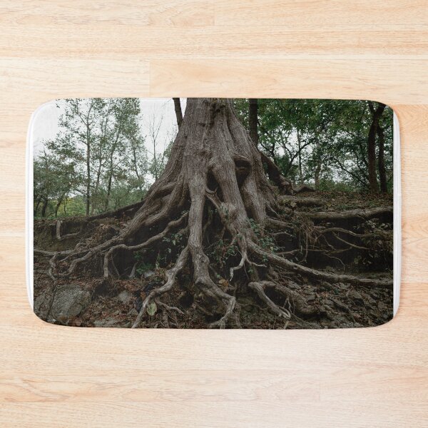 Item preview, Ancient Tree Roots Clinging to Eroded Hillside designed and sold by MichaelPictures.