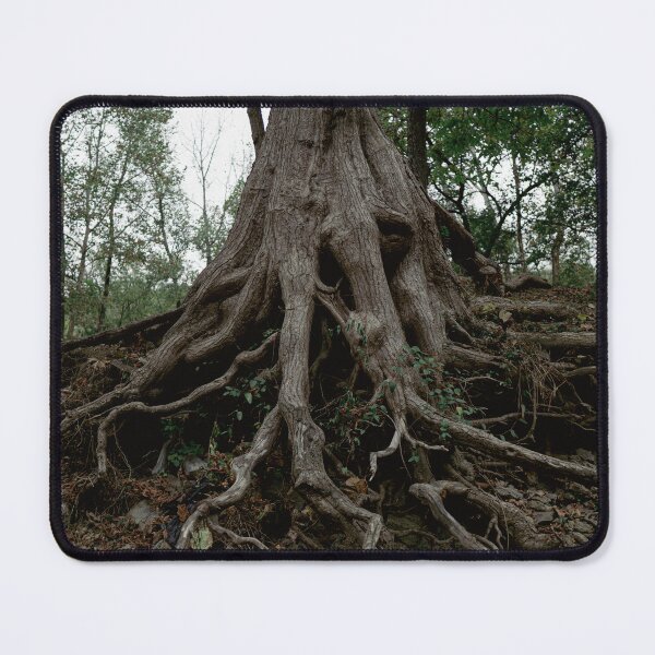 Item preview, Ancient Tree Roots Clinging to Eroded Hillside designed and sold by MichaelPictures.