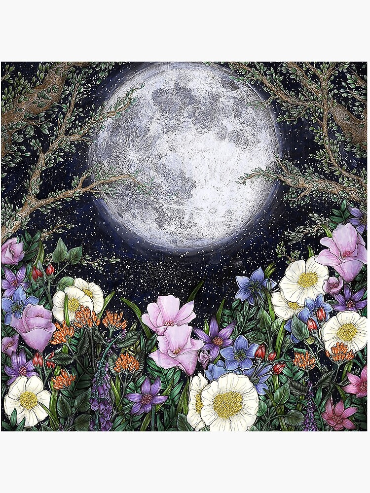 Midnight in the Garden II by ECMazur