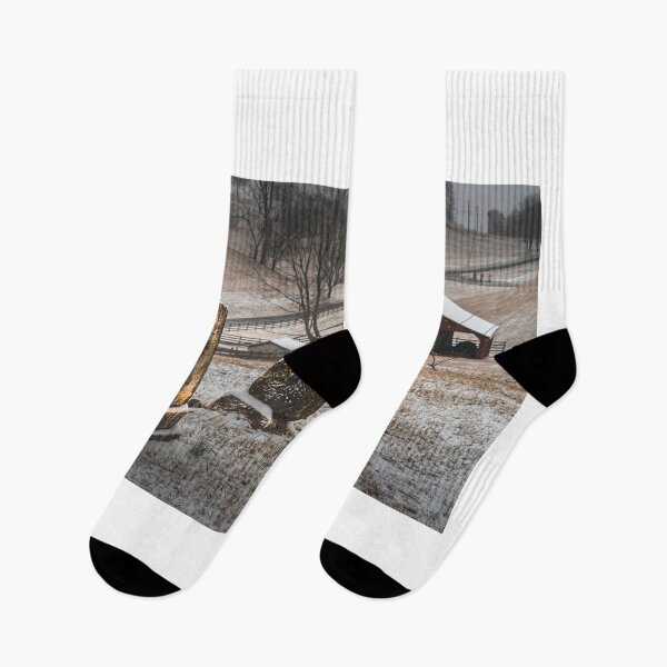 Item preview, Winter Rest designed and sold by Jim Love.