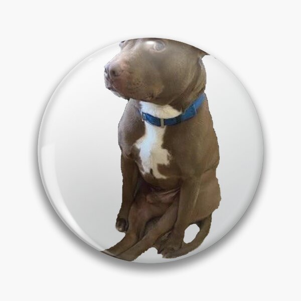 Item preview, Awkward Dog Sitting Like a Person | Relatable Doggo Mood designed and sold by SpxrkyDesigns.