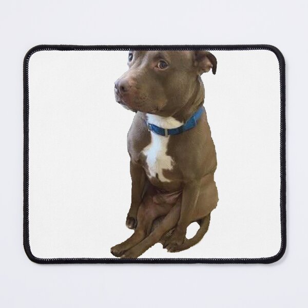 Item preview, Awkward Dog Sitting Like a Person | Relatable Doggo Mood designed and sold by SpxrkyDesigns.
