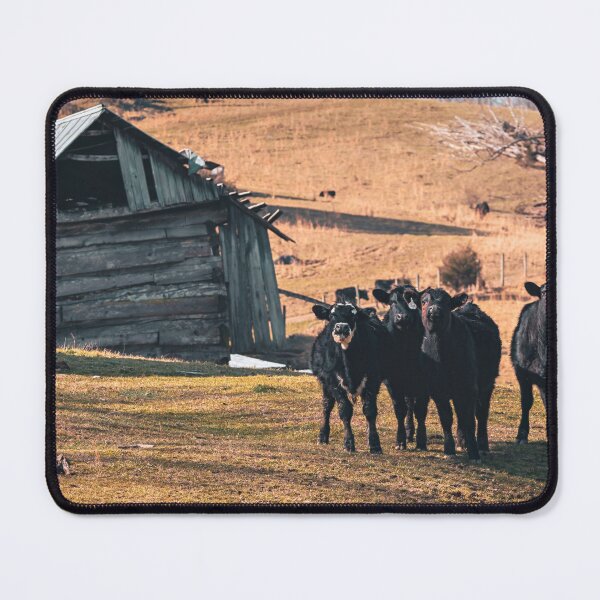 Item preview, Barnyard Barbershop Quartet designed and sold by Jim Love.