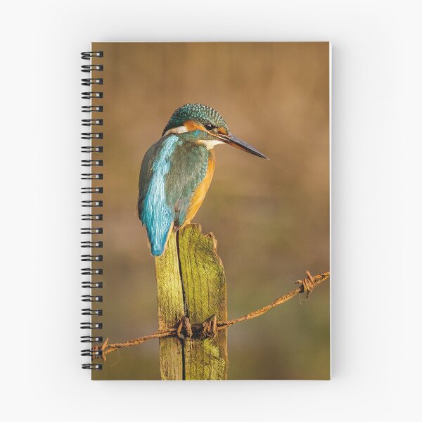 Item preview, Kingfisher on Fencepost designed and sold by Alec Stewart.