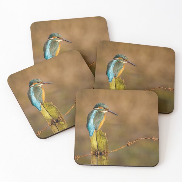 Item preview, Kingfisher on Fencepost designed and sold by Alec Stewart.