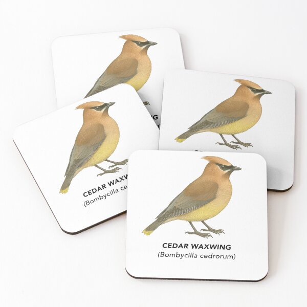 Item preview, Cedar Waxwing – Limited California Birds Collection designed and sold by CaliforniaVibe.