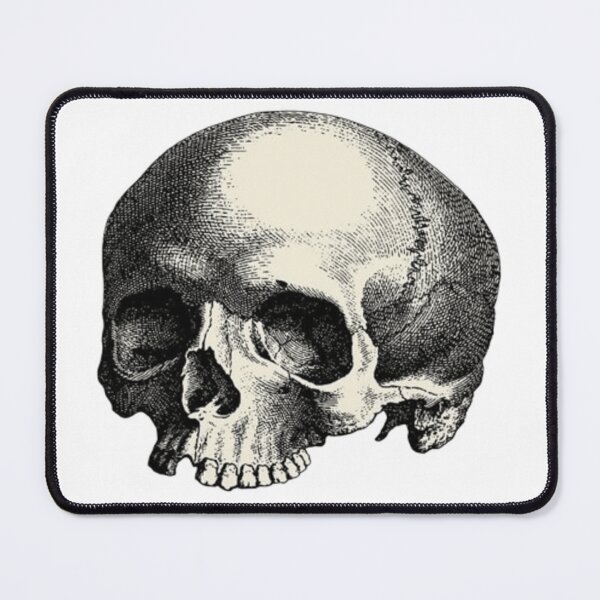 Item preview, Vintage Skull – Antique Human Anatomy Illustration designed and sold by StickerStudioHQ.