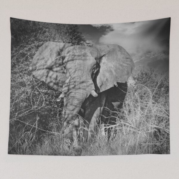 Item preview, Elephant On Approach in Black and White designed and sold by Kay Brewer.