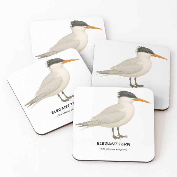 Item preview, Elegant Tern – Limited California Birds Collection designed and sold by CaliforniaVibe.