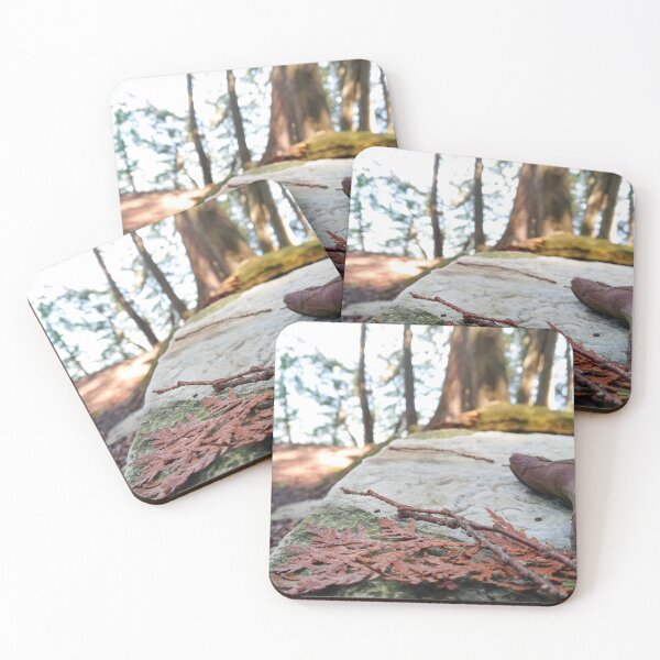 Item preview, Branches On A White Rock designed and sold by WilfuerM.