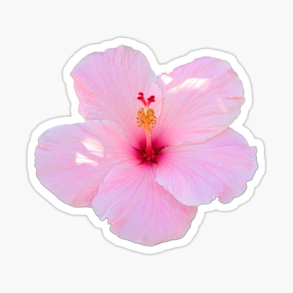 Item preview, Hibiscus Flower designed and sold by muamystery.