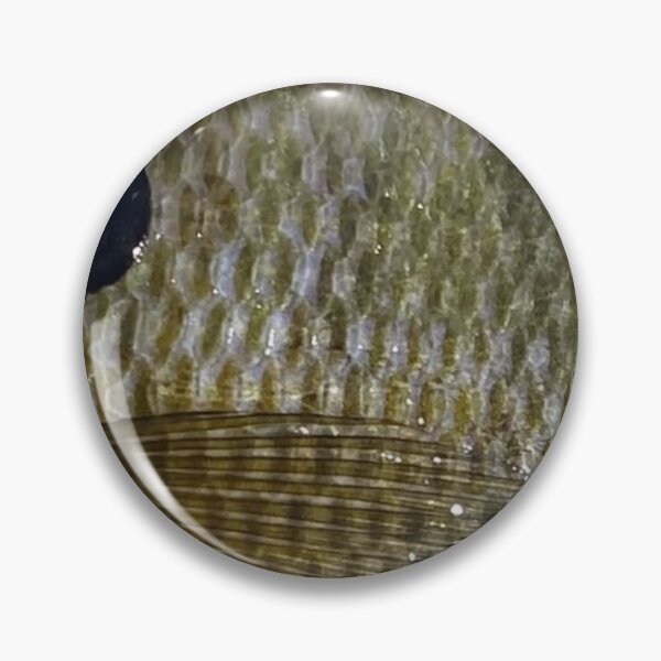 Item preview, Bluegill Dark Phase designed and sold by CJRPics.