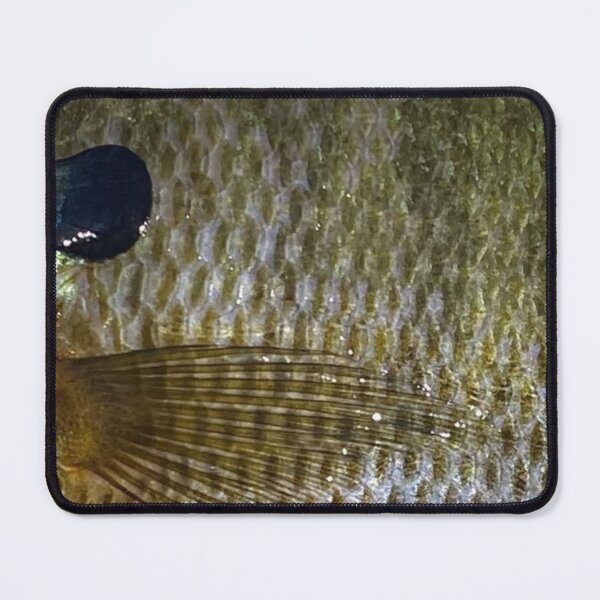 Item preview, Bluegill Dark Phase designed and sold by CJRPics.