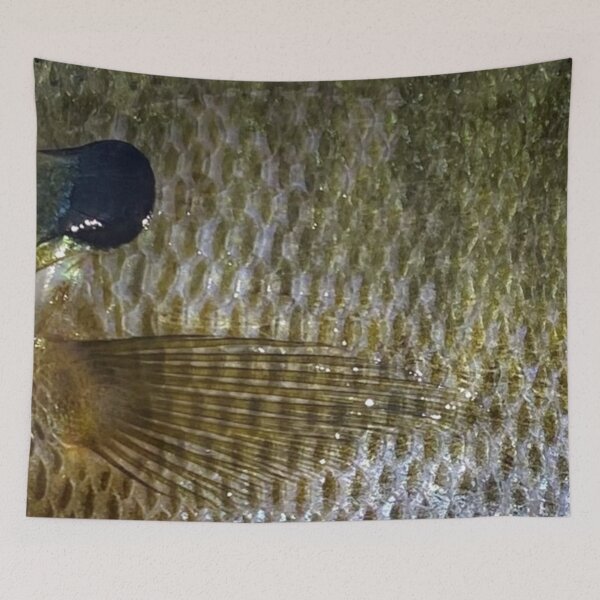 Item preview, Bluegill Dark Phase designed and sold by CJRPics.