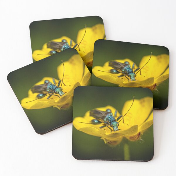 Item preview, beetle at a flower designed and sold by EgonZ9.