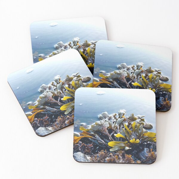 Item preview, Low Tide designed and sold by WilfuerM.