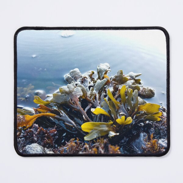 Item preview, Low Tide designed and sold by WilfuerM.