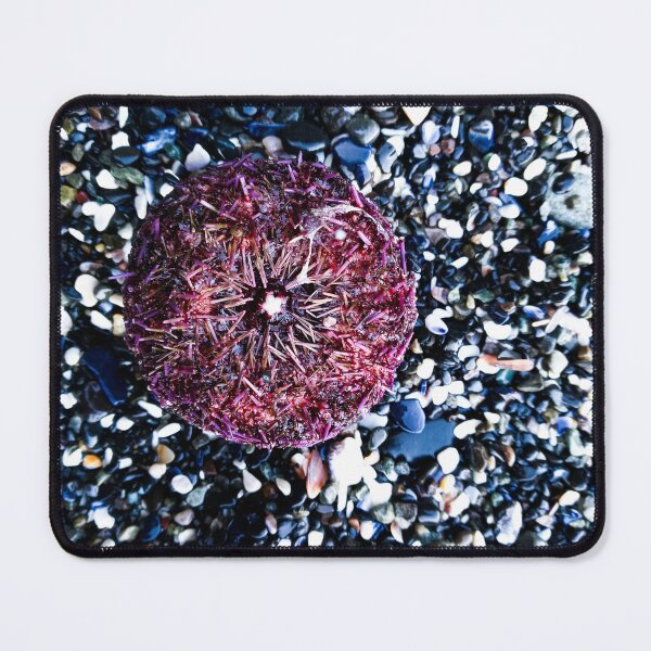 Item preview, Magenta  designed and sold by WilfuerM.