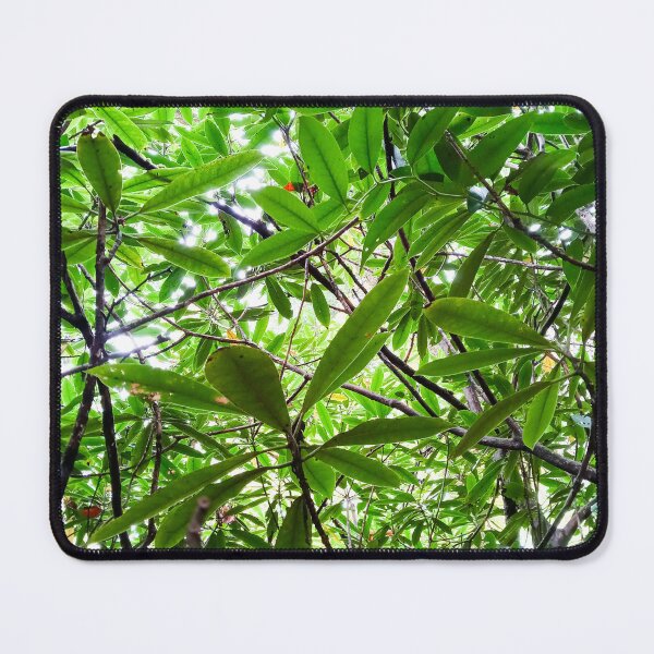 Item preview, Canopy of Leaves designed and sold by WilfuerM.