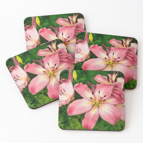 Item preview, Pink Asiatic Lilies in Bloom designed and sold by MichaelPictures.