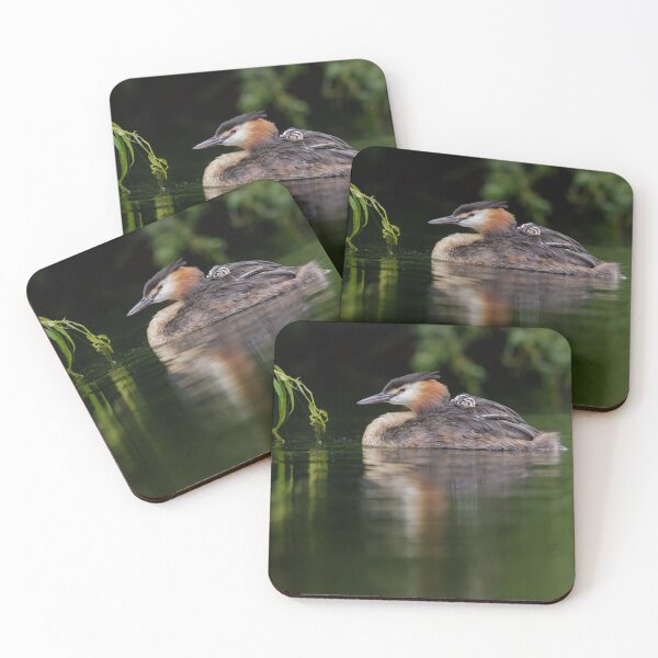 Item preview, Great Crested Grebe With Chick designed and sold by Alec Stewart.