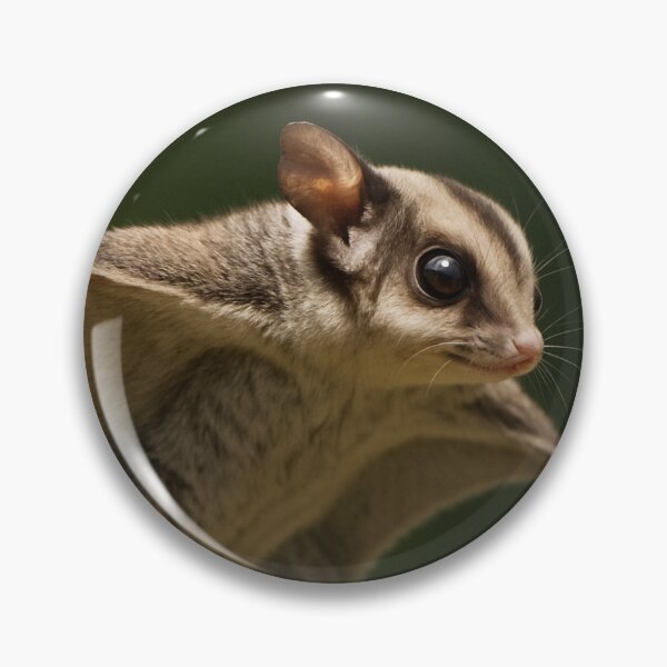 Item preview, Sugar glider gliding through the air. designed and sold by PixelDesign9.
