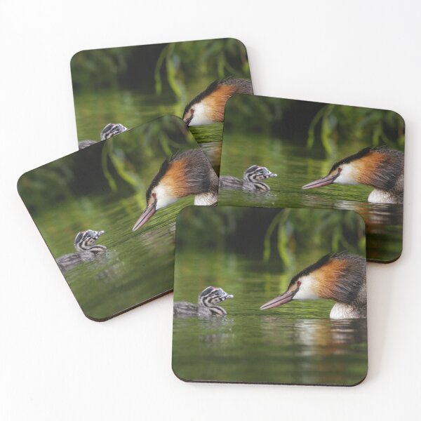 Item preview, Great Crested Grebe Chick with Parent designed and sold by Alec Stewart.