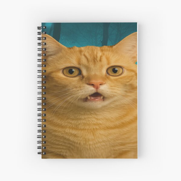 Item preview, Cat Meme: He wandered into a magical forest. designed and sold by tacoDaBomb.