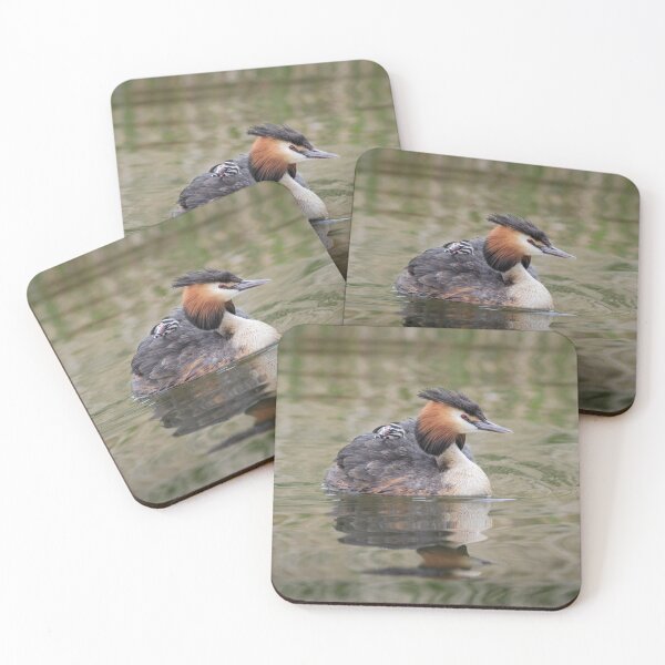 Item preview, Great Crested Grebe and Baby Chick designed and sold by Alec Stewart.