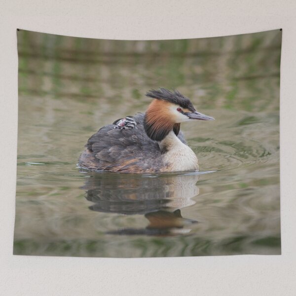 Item preview, Great Crested Grebe and Baby Chick designed and sold by Alec Stewart.
