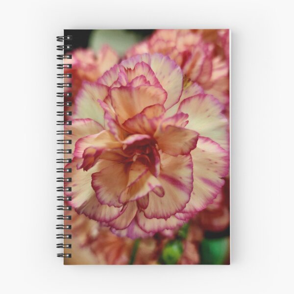 Item preview, Close up picture of a carnation that I took designed and sold by Raineylanes.