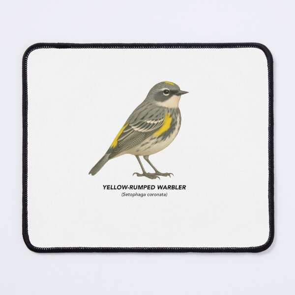Item preview, Yellow-rumped Warbler - Birds of California designed and sold by CaliforniaVibe.