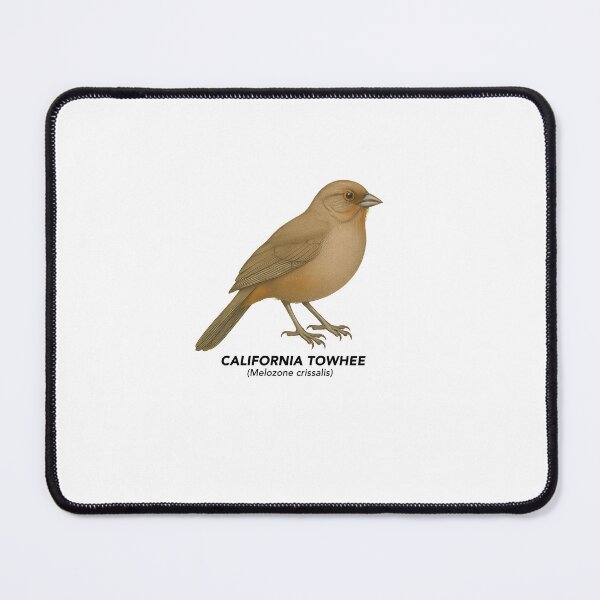 Item preview, California Towhee - Birds of California designed and sold by CaliforniaVibe.