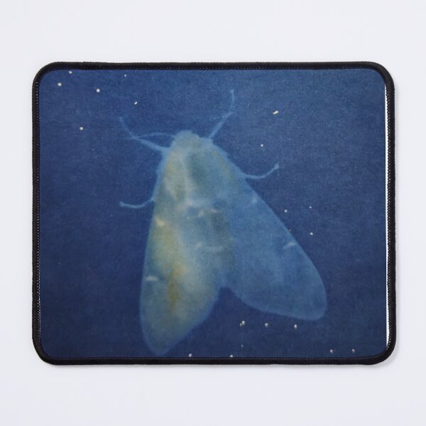 Item preview, Bogong moth  designed and sold by nicoleliz.