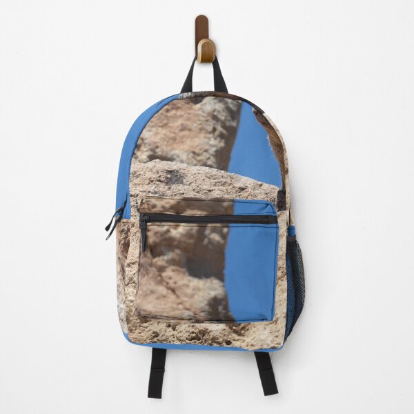 Item preview, Squirrel Perched on Lookout Rock designed and sold by bubandbob.