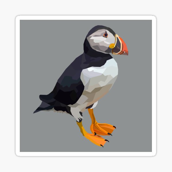 Puffin (Fratercula Artica) by Chris Corish Sticker
