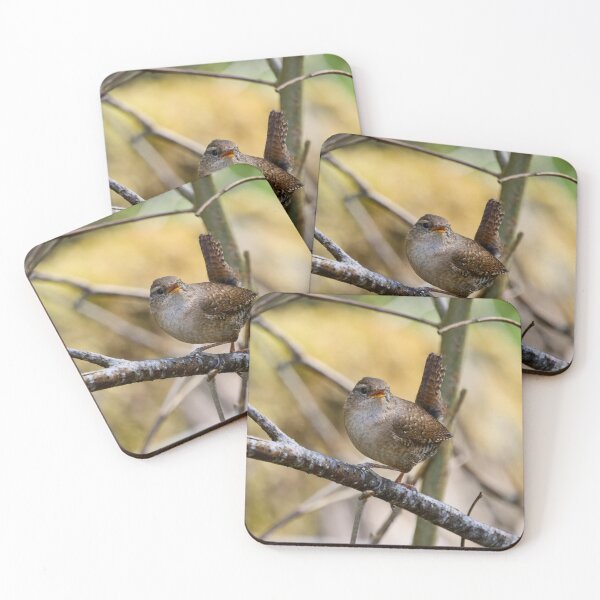 Item preview, Wrening. Eurasian wren designed and sold by Jouko Lehto Photography.