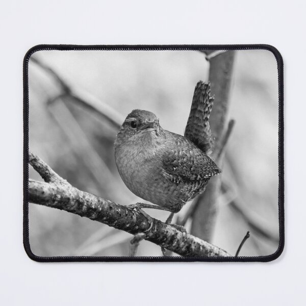 Item preview, Wrening. Eurasian wren bw designed and sold by Jouko Lehto Photography.