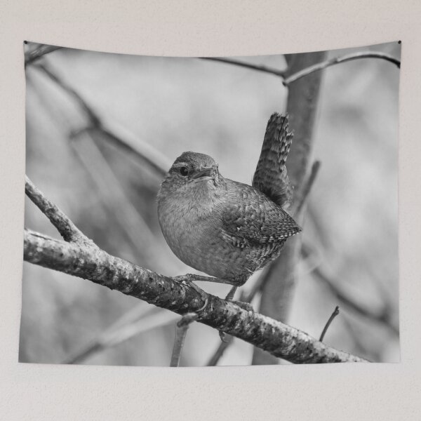 Item preview, Wrening. Eurasian wren bw designed and sold by Jouko Lehto Photography.