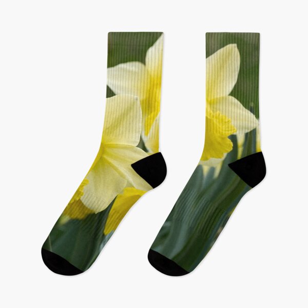 Item preview, Daffodils of spring designed and sold by Jouko Lehto Photography.