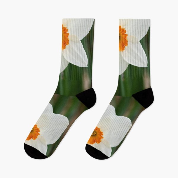Item preview, The White Daffodil designed and sold by Jouko Lehto Photography.