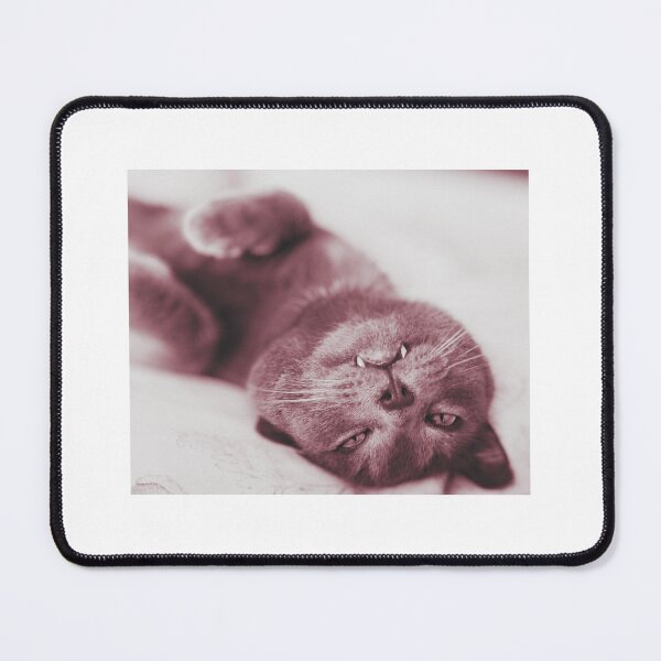 Item preview, Foto cat designed and sold by KammZCc.