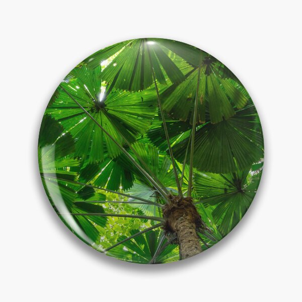 Item preview, Australian Fan Palm (Licuala) 2 designed and sold by Kate Powick.