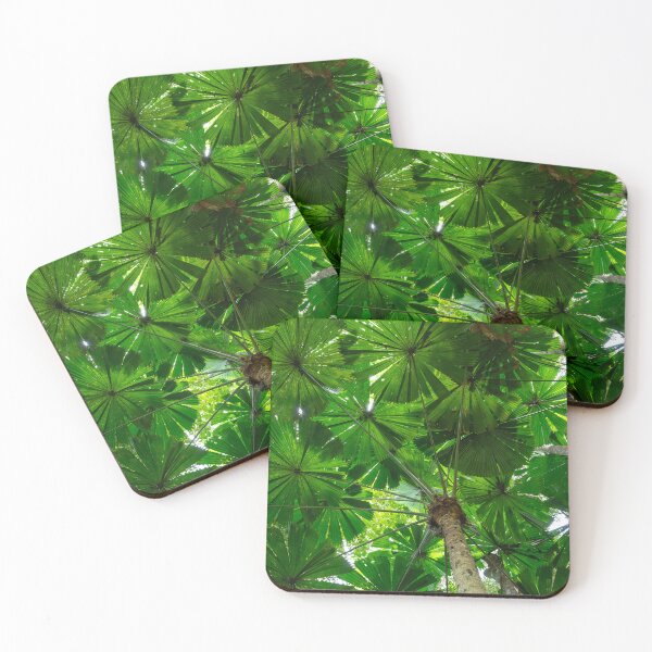 Item preview, Australian Fan Palm (Licuala) 2 designed and sold by Kate Powick.